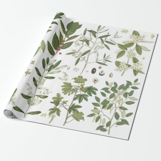  groene Planten Cadeaupapier (Uitgerold)
