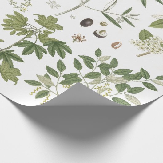 groene Planten Cadeaupapier (Hoek)