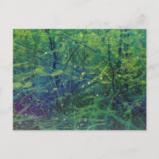 Groene planten en lichten briefkaart (Voorkant)