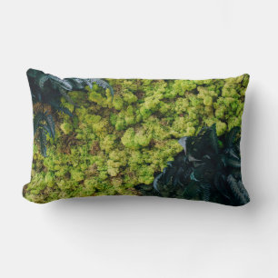 Groene planten kussen