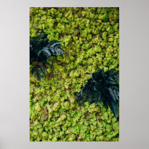 Groene planten poster