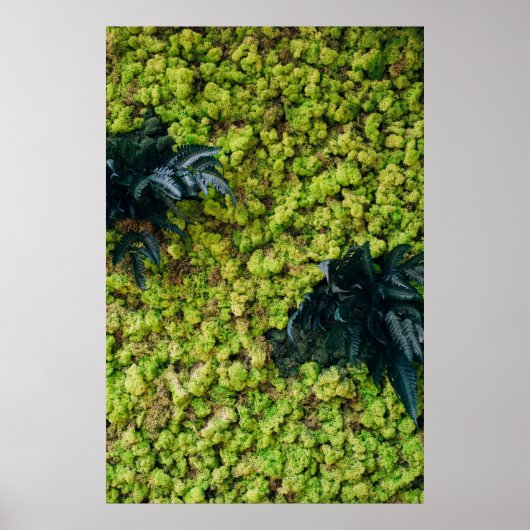Groene planten poster (Voorkant)