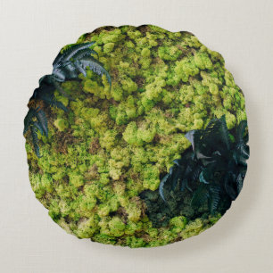 Groene planten rond kussen