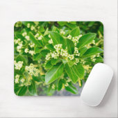 groene planten schoonheid muismat (Met muis)