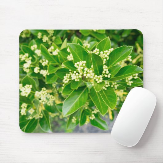 groene planten schoonheid muismat (Met muis)