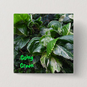 Groene planten vierkante button 5,1 cm