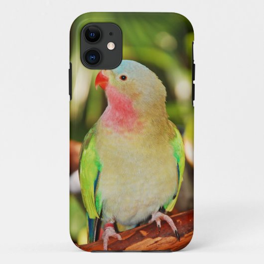 Groene prinsesparkiet Case-Mate iPhone case (Achterkant)
