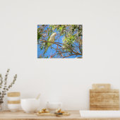 Groene quaker papegaai Poster (Keuken)