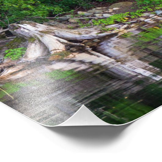 Groene reflecties foto afdruk (Hoek)
