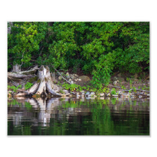 Groene reflecties foto afdruk