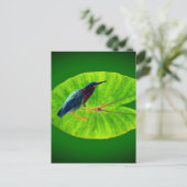 Groene reiger briefkaart (Staand voorkant)