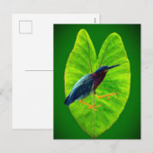 Groene reiger feestdagenkaart (Voorkant / Achterkant)