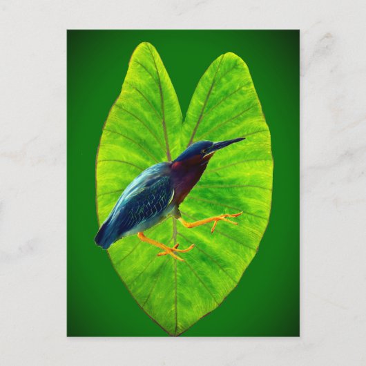 Groene reiger feestdagenkaart (Voorkant)