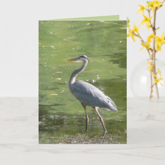 Groene reiger kaart (Gele Bloem)