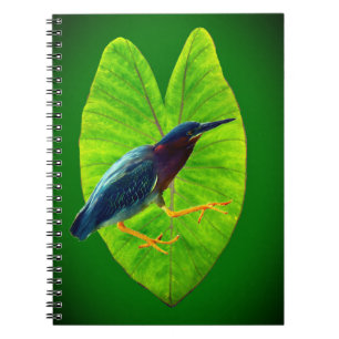 Groene reiger notitieboek