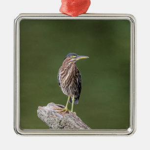 Groene reiger op een stam metalen ornament