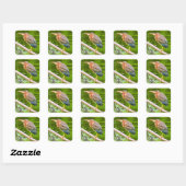 Groene reiger vierkante sticker (Vel)