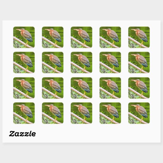 Groene reiger vierkante sticker (Vel)