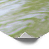 Groene Reiger Vogel Foto Poster (Hoek)