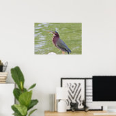 Groene Reiger Vogel Foto Poster (Thuiskantoor)
