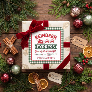 Groene rendier Kerstman zak Kerstmis ruitjes Vierkante Sticker