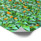 Groene rijen - Verborgen 3D print (Hoek)