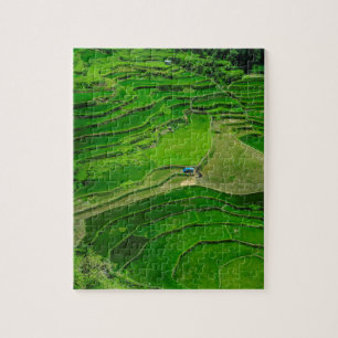 Groene rijstterrassen, Filipijnen Legpuzzel
