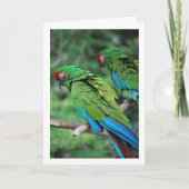Groene Rode en Blauwe Papegaaien Kaart (Voorkant)