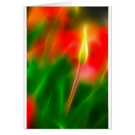 Groene, rode en gele Tulp Glow