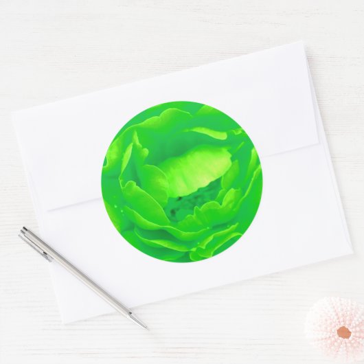 Groene Roos Sticker -  (Envelop)