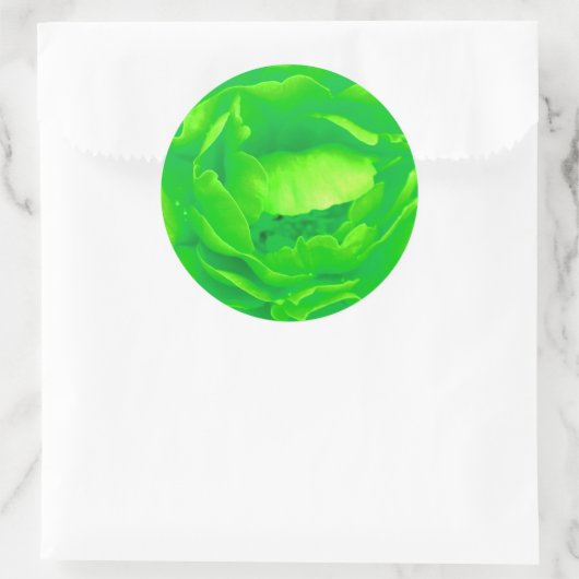 Groene Roos Sticker -  (Tas)