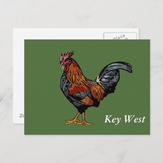 Groene Rooster Key West Post Kaart (Voorkant / Achterkant)