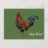 Groene Rooster Key West Post Kaart (Voorkant)