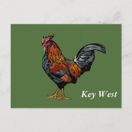 Groene Rooster Key West Post Kaart