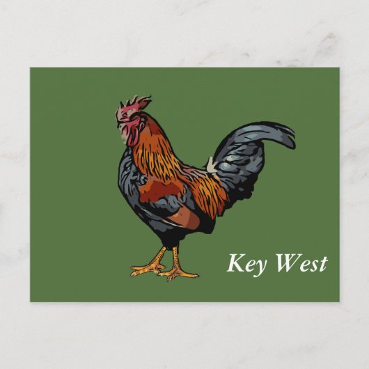 Groene Rooster Key West Post Kaart (Voorkant)