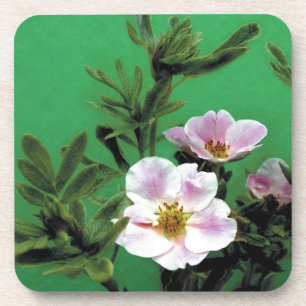 groene roze roze bloemen, Elegant Onderzetter