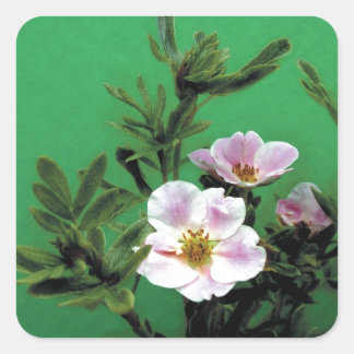 groene roze roze bloemen, Elegant Vierkante Sticker