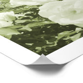 Groene Rozen Bloementuin Foto Kunstprint Poster (Hoek)