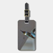 Groene Ruby kleine Hummingbird Bagagelabel (Voorkant verticaal)