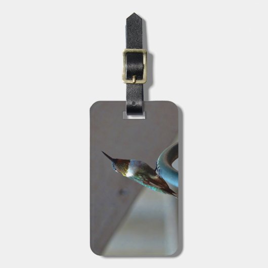 Groene Ruby kleine Hummingbird Bagagelabel (Voorkant verticaal)