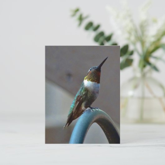 Groene Ruby kleine Hummingbird Briefkaart (Staand voorkant)