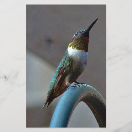 Groene Ruby kleine Hummingbird Briefpapier (Voorkant)