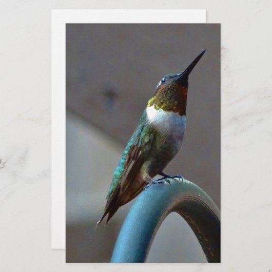 Groene Ruby kleine Hummingbird Briefpapier (Voorkant / Achterkant)