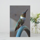 Groene Ruby kleine Hummingbird Briefpapier (Staand voorkant)
