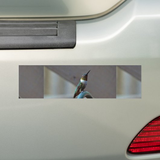 Groene Ruby kleine Hummingbird Bumpersticker (Op auto)