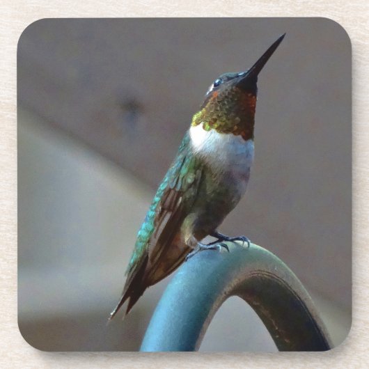 Groene Ruby kleine Hummingbird Drankjes Onderzetter (Voorkant)