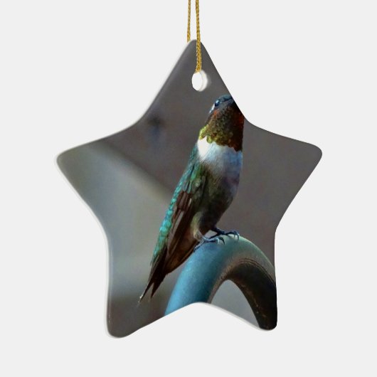 Groene Ruby kleine Hummingbird Keramisch Ornament (Rechts)