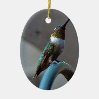 Groene Ruby kleine Hummingbird Keramisch Ornament