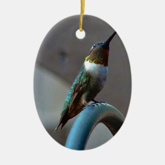 Groene Ruby kleine Hummingbird Keramisch Ornament (Voorkant)