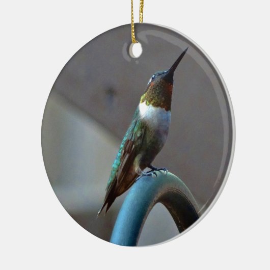 Groene Ruby kleine Hummingbird Keramisch Ornament (Links)